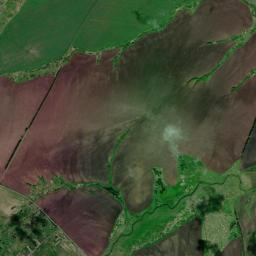 Bol’sheboldinskiy Rayon High Resolution Satellite Map