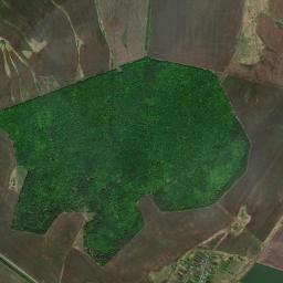 Cheremshanskiy Rayon High Resolution Satellite Map