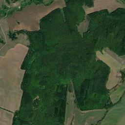 Leninogorskiy Rayon High Resolution Satellite Map