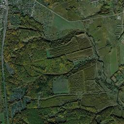 Revyakino High Resolution Satellite Map