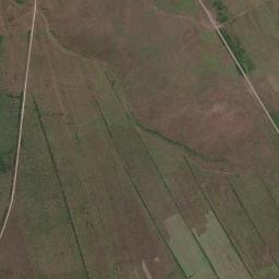 Bogradskiy Rayon High Resolution Satellite Map