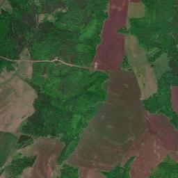 Bavlinskiy Rayon High Resolution Satellite Map