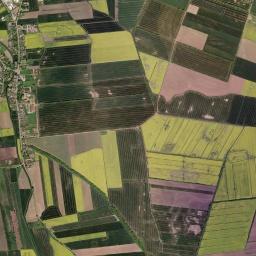 Suchy Dąb High Resolution Satellite Map