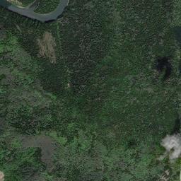 Koshurnikovo High Resolution Satellite Map