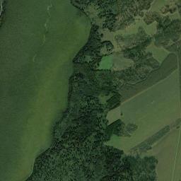 Zarinskiy Rayon High Resolution Satellite Map