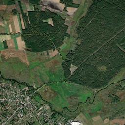 Narew High Resolution Satellite Map