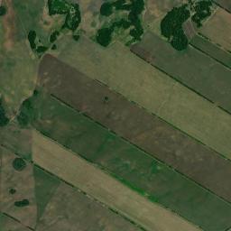 Zav’yalovskiy Rayon High Resolution Satellite Map