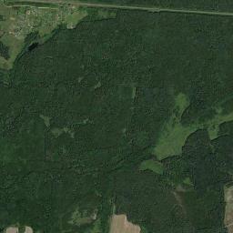 Unechskiy Rayon High Resolution Satellite Map