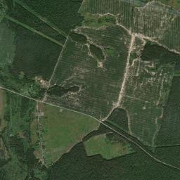 Navlinskiy Rayon High Resolution Satellite Map