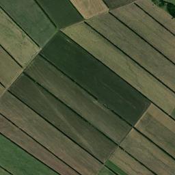 Romanovskiy Rayon High Resolution Satellite Map