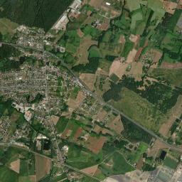 Nekla High Resolution Satellite Map