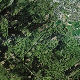 Egestorf, DE locator map