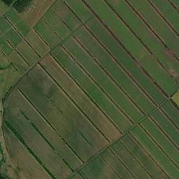 Novichikhinskiy Rayon High Resolution Satellite Map