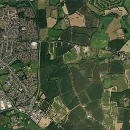 Rayne High Resolution Satellite Map