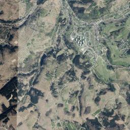 Altenau High Resolution Satellite Map