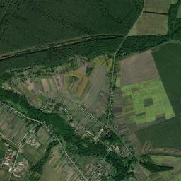 Shalyhyne High Resolution Satellite Map