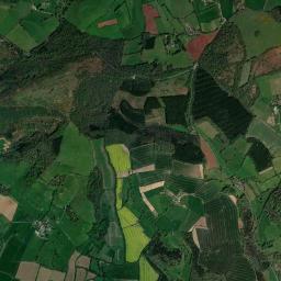 Buncombe Hill, Bridgwater, Somerset TA5 Satellite Map