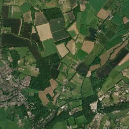 Colden Common High Resolution Satellite Map