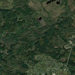 Bronitska Guta High Resolution Satellite Map