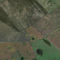 Tambovskiy Rayon High Resolution Satellite Map