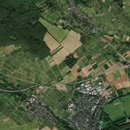 Walluf High Resolution Satellite Map