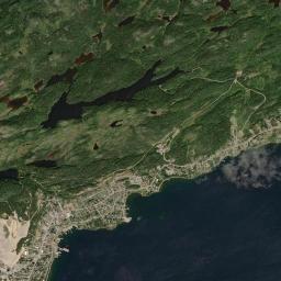 Springdale High Resolution Satellite Map