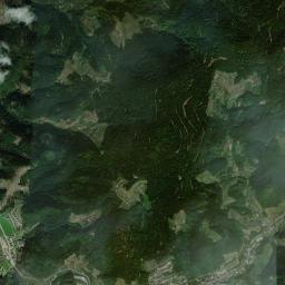 Bad Peterstal-Griesbach High Resolution Satellite Map