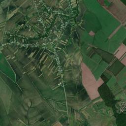 Negostina High Resolution Satellite Map