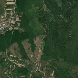 Poiana Codrului High Resolution Satellite Map