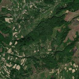 Cărpiniș High Resolution Satellite Map