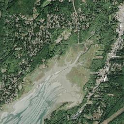 Belfair High Resolution Satellite Map