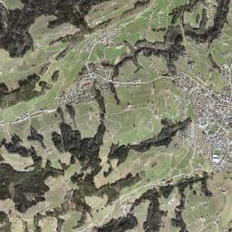 Heiden High Resolution Satellite Map
