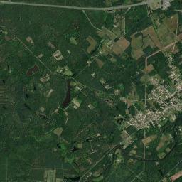 Pruniers-en-Sologne High Resolution Satellite Map