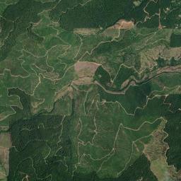 Aerial view of Carpenter Creek