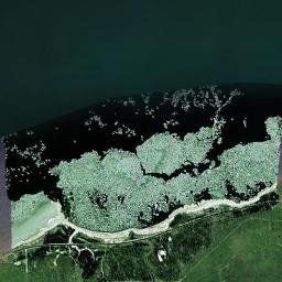 Aerial view of Gull Point
