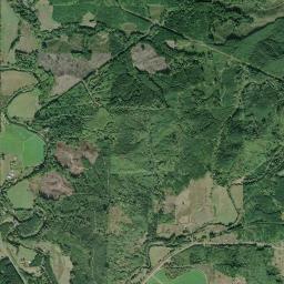 Aerial view of Green Creek