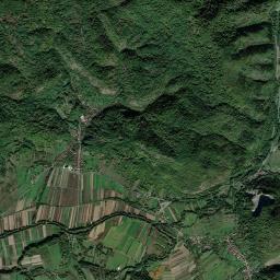 Pleşcuţa High Resolution Satellite Map