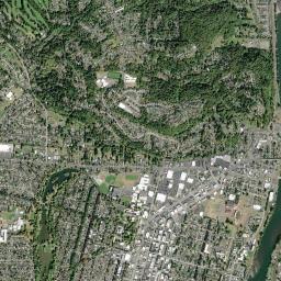 Longview High Resolution Satellite Map