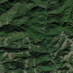 Vorţa High Resolution Satellite Map