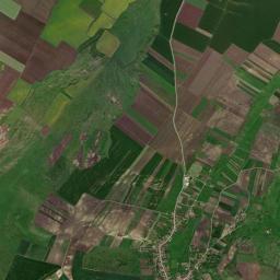 Păuca High Resolution Satellite Map