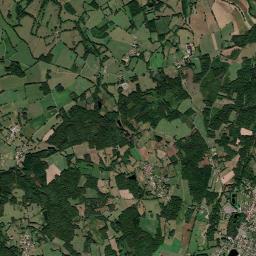 Cognac-la-Forêt High Resolution Satellite Map