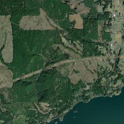 Carson High Resolution Satellite Map