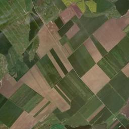 Comuna Peciu Nou High Resolution Satellite Map