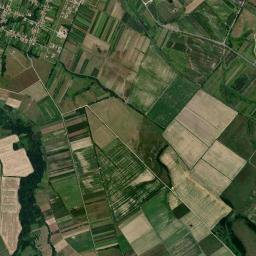 Comuna Gavojdia High Resolution Satellite Map