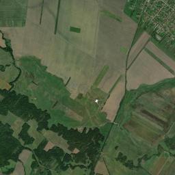 Comuna Niţchidorf High Resolution Satellite Map