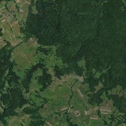 Comuna Pãltiniş High Resolution Satellite Map