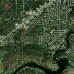 Rock Forest High Resolution Satellite Map