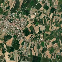 Conselve High Resolution Satellite Map