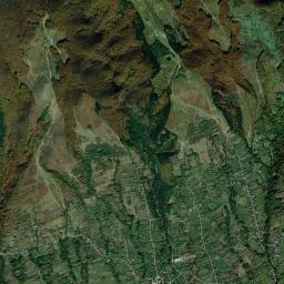 Cărpiniș High Resolution Satellite Map