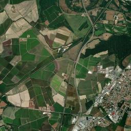 San Martino Siccomario High Resolution Satellite Map